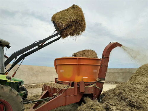 内蒙古牛草圆捆粉碎机 牧场草捆粉碎机 方草捆粉碎机